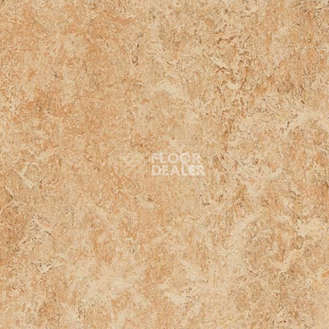 Линолеум Forbo Marmoleum Marbled Authentic 3075 shell фото 1 | FLOORDEALER